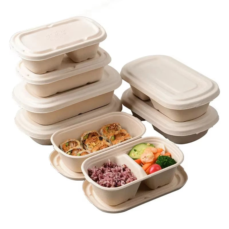 Light Food Lunch Box Biodegradable Lunchbox Microwave Disposable Food Container Vegetable Salad Takeaway Packing Box