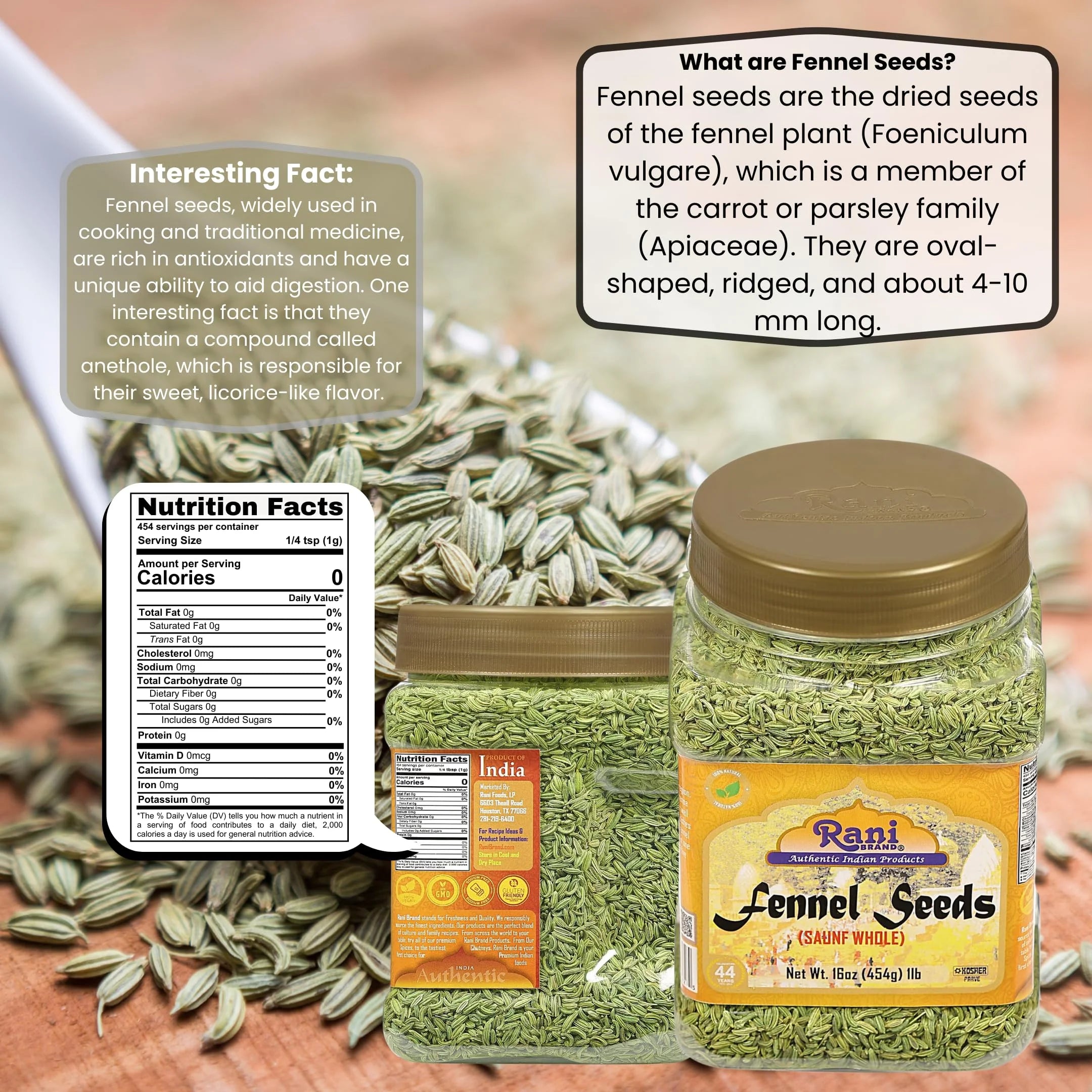 Fennel Seeds (Saunf Sabut) Whole Spice 16Oz (1Lb) 454G PET Jar ~ All Natural | Gluten Friendly | NON-GMO | Vegan | Kosher | Indian Origin