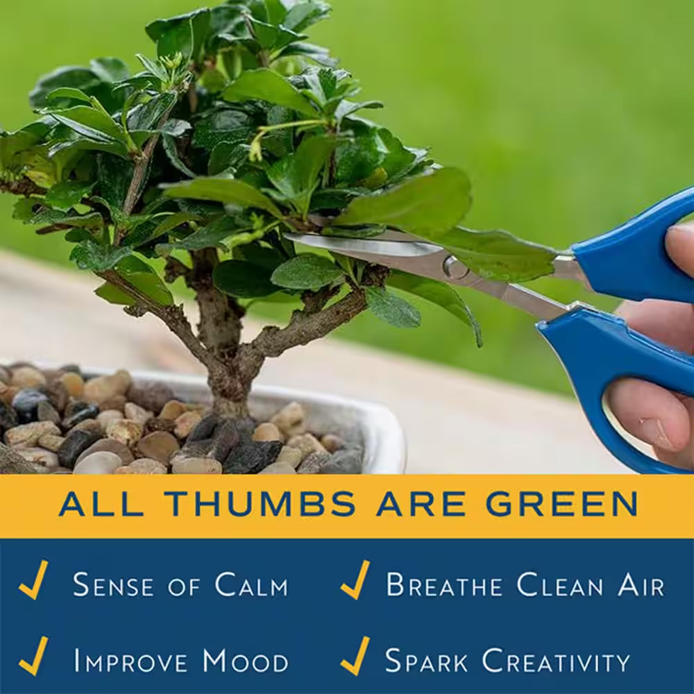 DIY Grower'S Choice Bonsai Indoor/Outdoor Plant Kit, Average Shipping Height 7 In. Tall