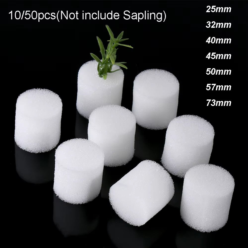 10/50Pcs Soilless Hydroponic Vegetables Nursery Pots Nursery Sponge Flower Seed Soilless Cultivation System Seed Trays