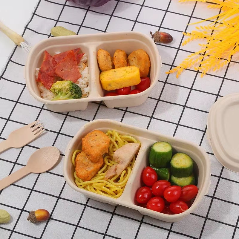 Light Food Lunch Box Biodegradable Lunchbox Microwave Disposable Food Container Vegetable Salad Takeaway Packing Box