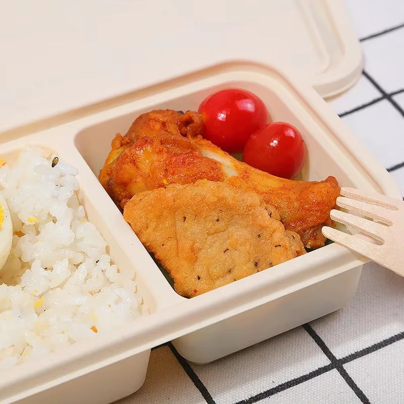 Light Food Lunch Box Biodegradable Lunchbox Microwave Disposable Food Container Vegetable Salad Takeaway Packing Box