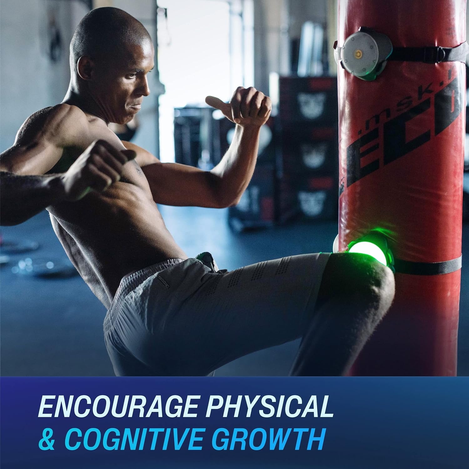 Reaction Training Platform for Boxing & All Combat Sports. Attack, Defend and Navigate the Ring, Mat and Octagon Better than Ever to Win Every Fight.