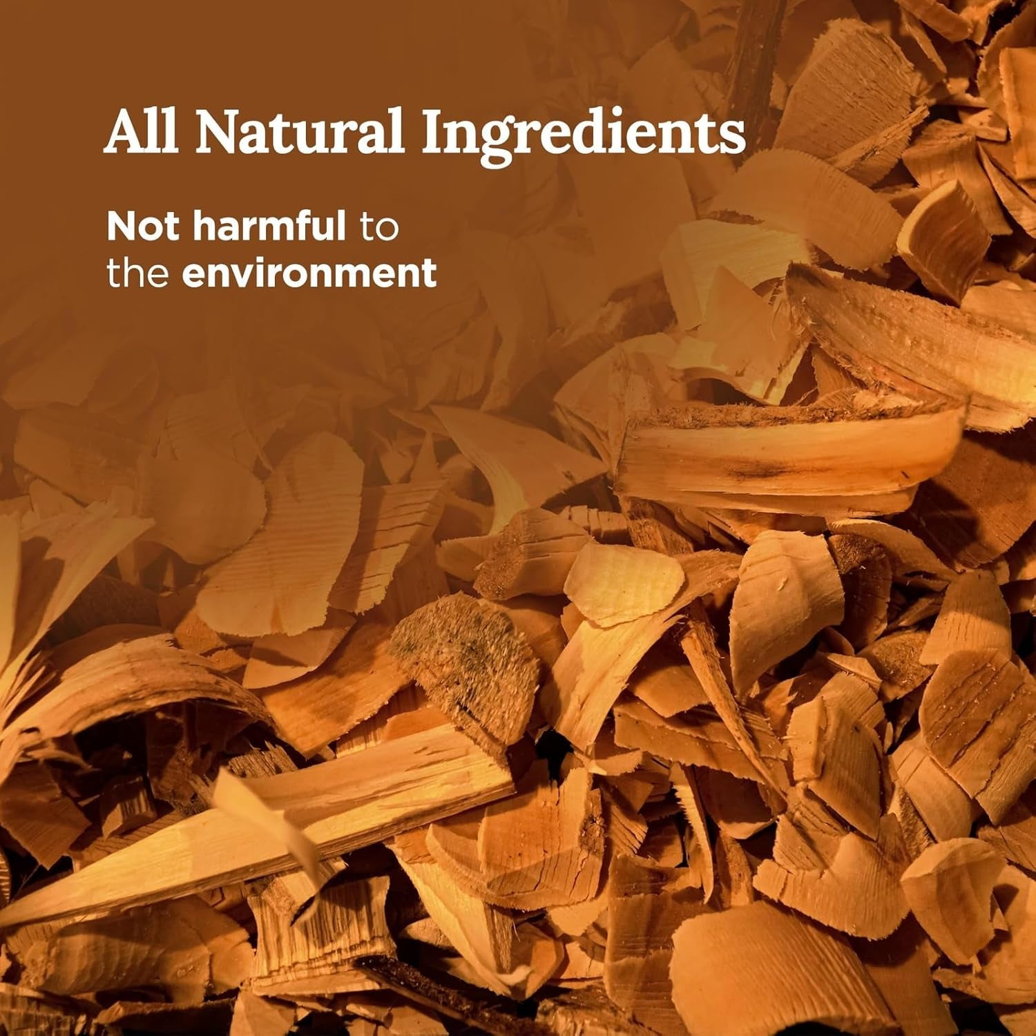 Full Moon Candle Aromatherapy Tin - 6 Oz Rose - Natural Soy Wax - Sage, Frankincense & Sandalwood - 35 Hour Burn - Spiritual Decor