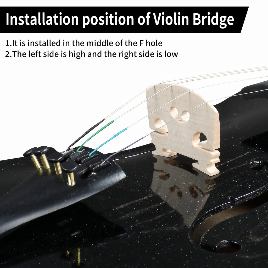Violin Set Full Size 4/4 for Adults Beginners Students Basswood Black