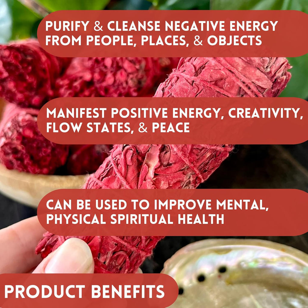 Ancient VEDA Organic Smudge Kit – Dragon'S Blood, Palo Santo, Sweetgrass, Abalone Shell, Feather & Smudge Guide | Smudging Kit for Home Energy Cleansing, Meditation (Healer'S Kit, Dragon'S Blood Sage)