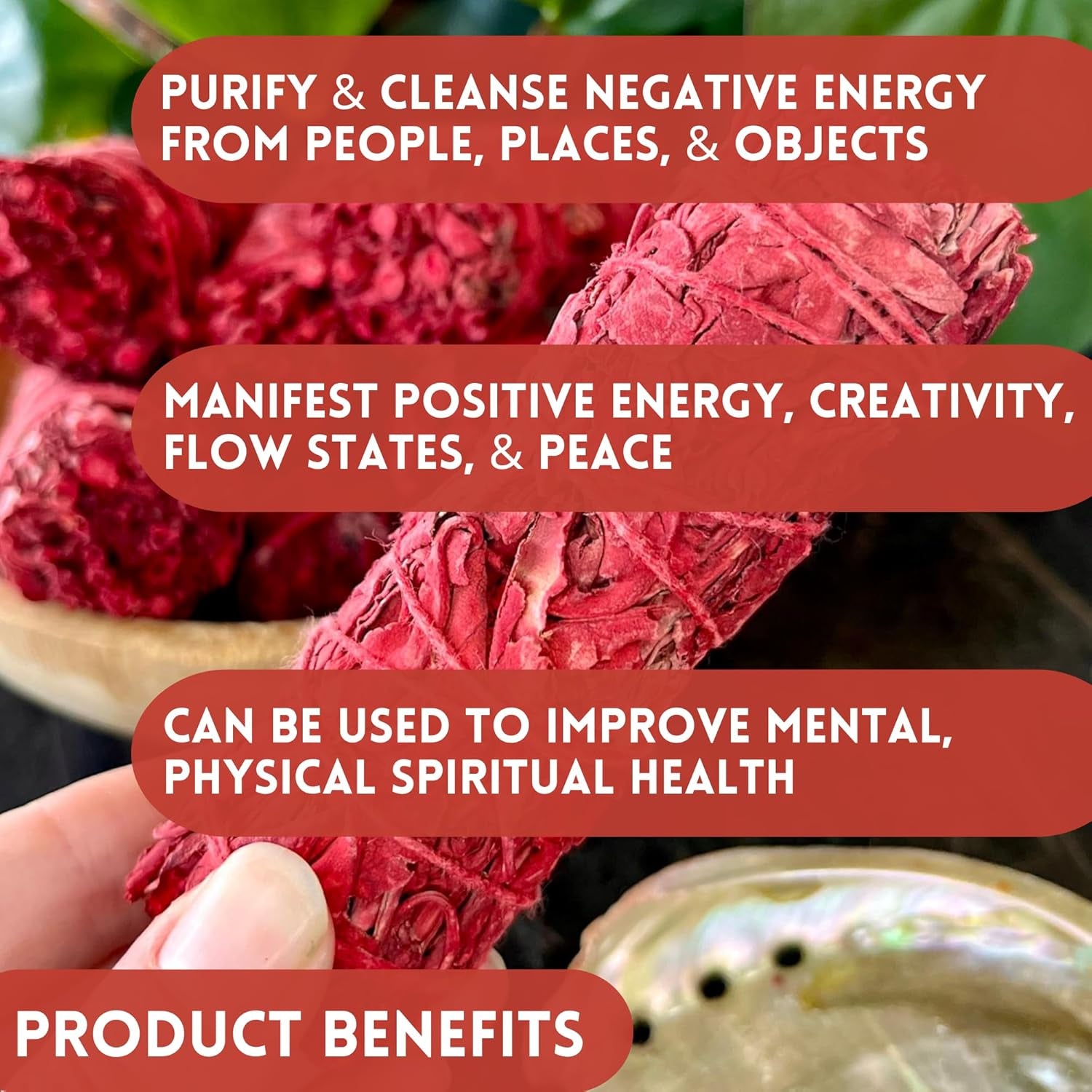 Ancient VEDA Organic Smudge Kit – Dragon'S Blood, Palo Santo, Sweetgrass, Abalone Shell, Feather & Smudge Guide | Smudging Kit for Home Energy Cleansing, Meditation (Healer'S Kit, Dragon'S Blood Sage)