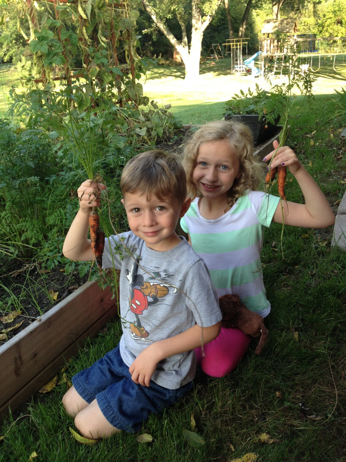 Children'S Garden Kit: Organic Seeds, Mini Greenhouse, Fun Gardening