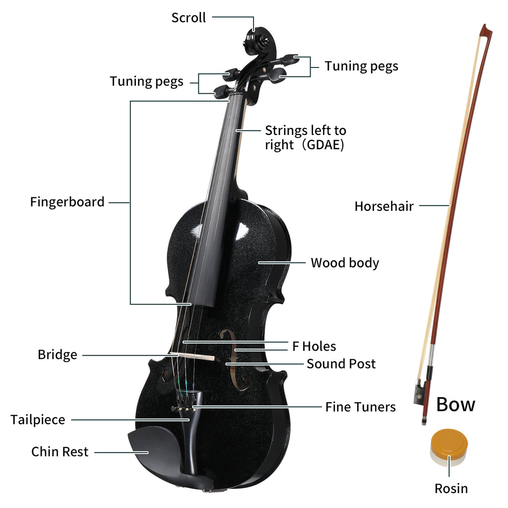 Violin Set Full Size 4/4 for Adults Beginners Students Basswood Black