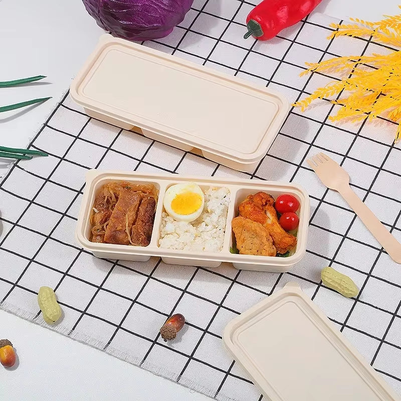 Light Food Lunch Box Biodegradable Lunchbox Microwave Disposable Food Container Vegetable Salad Takeaway Packing Box