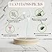 The Future Is Bamboo - Eco Floss Picks - FRESH MINT (6 x 50ct 120)