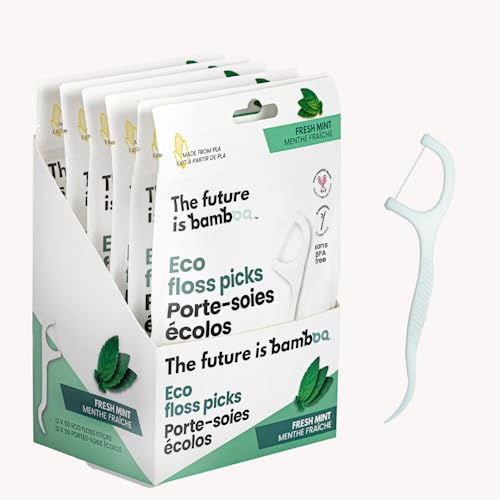 The Future Is Bamboo - Eco Floss Picks - FRESH MINT (6 x 50ct 120)