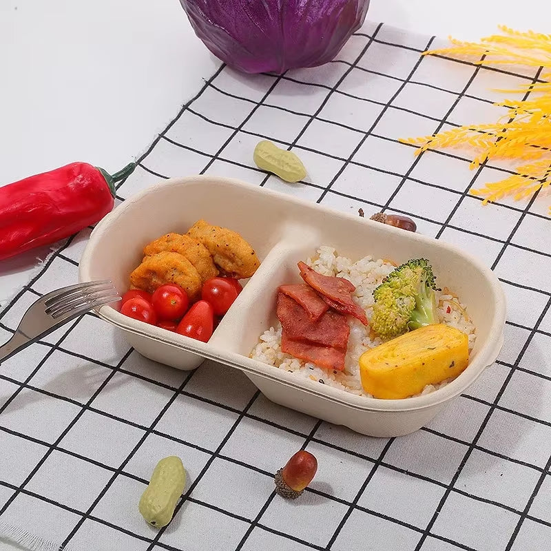 Light Food Lunch Box Biodegradable Lunchbox Microwave Disposable Food Container Vegetable Salad Takeaway Packing Box