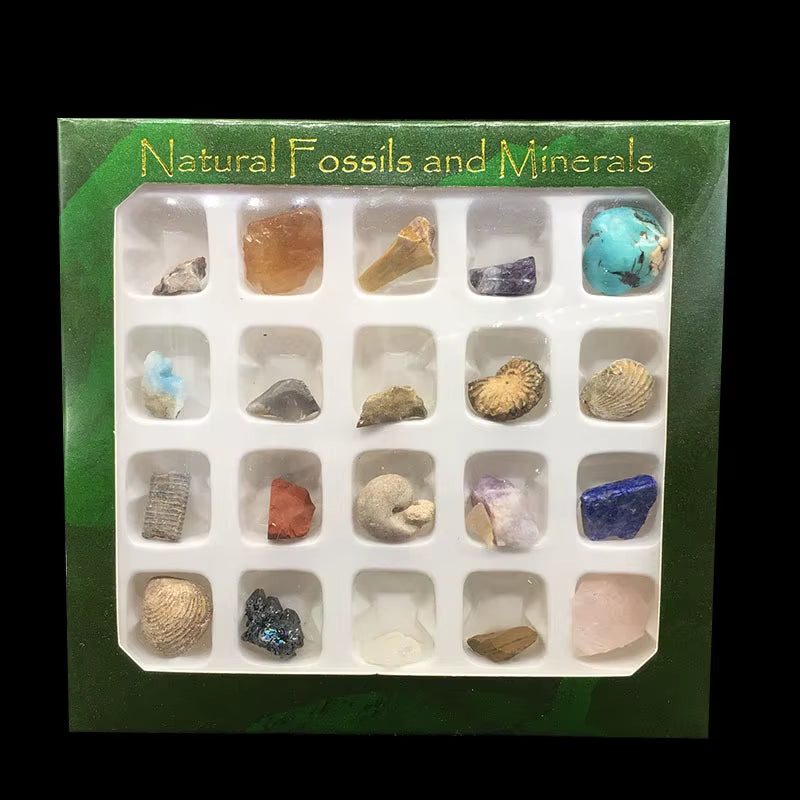 20Pcs/Set Natural Stone Box Fossile Healing Quartz Raw Mineral Rock Crystal Agate Specimen for Education Home Decor Energy Reiki