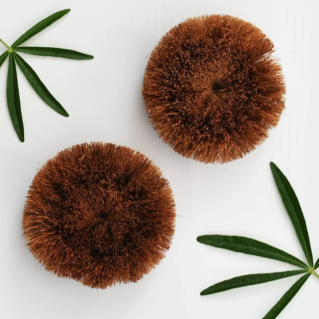 Natural Coconut Kitchen Scourers-0