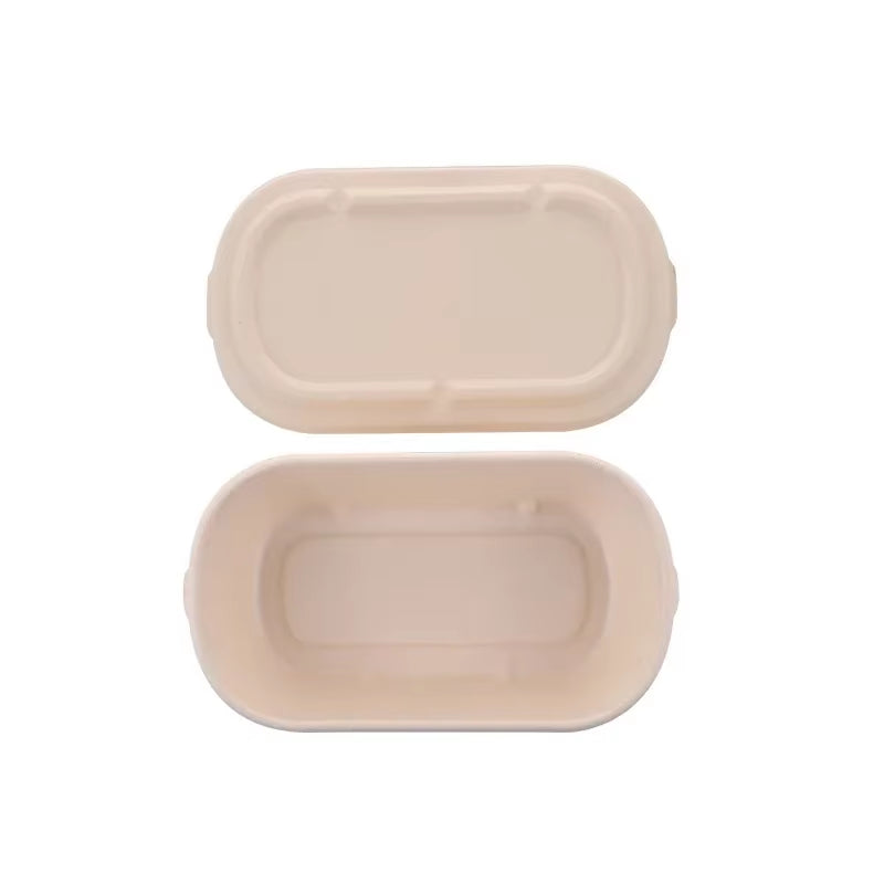 Light Food Lunch Box Biodegradable Lunchbox Microwave Disposable Food Container Vegetable Salad Takeaway Packing Box