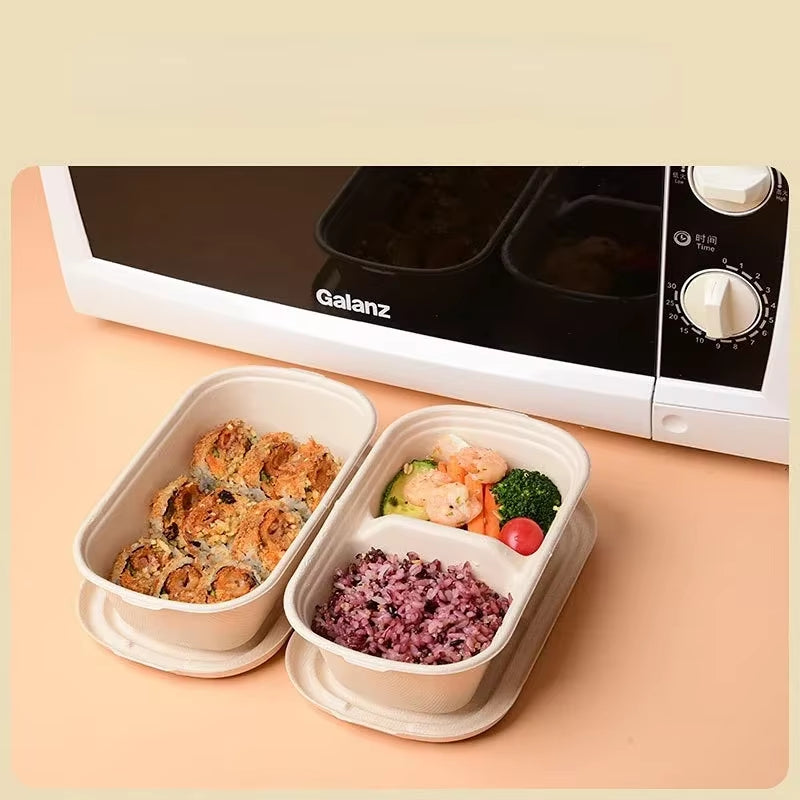 Light Food Lunch Box Biodegradable Lunchbox Microwave Disposable Food Container Vegetable Salad Takeaway Packing Box