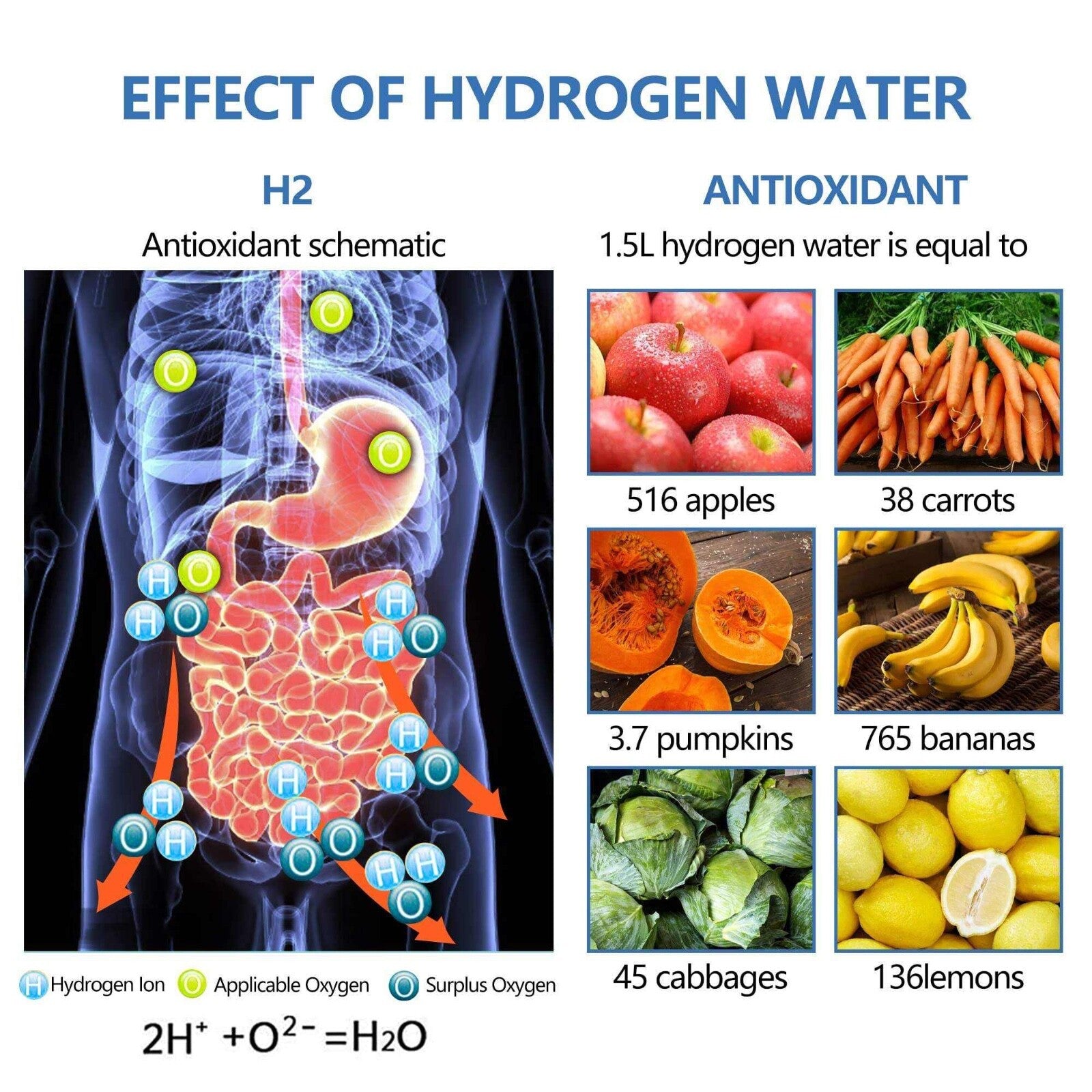 Water Panda Hydrogen Water Bottle Generatorrecha