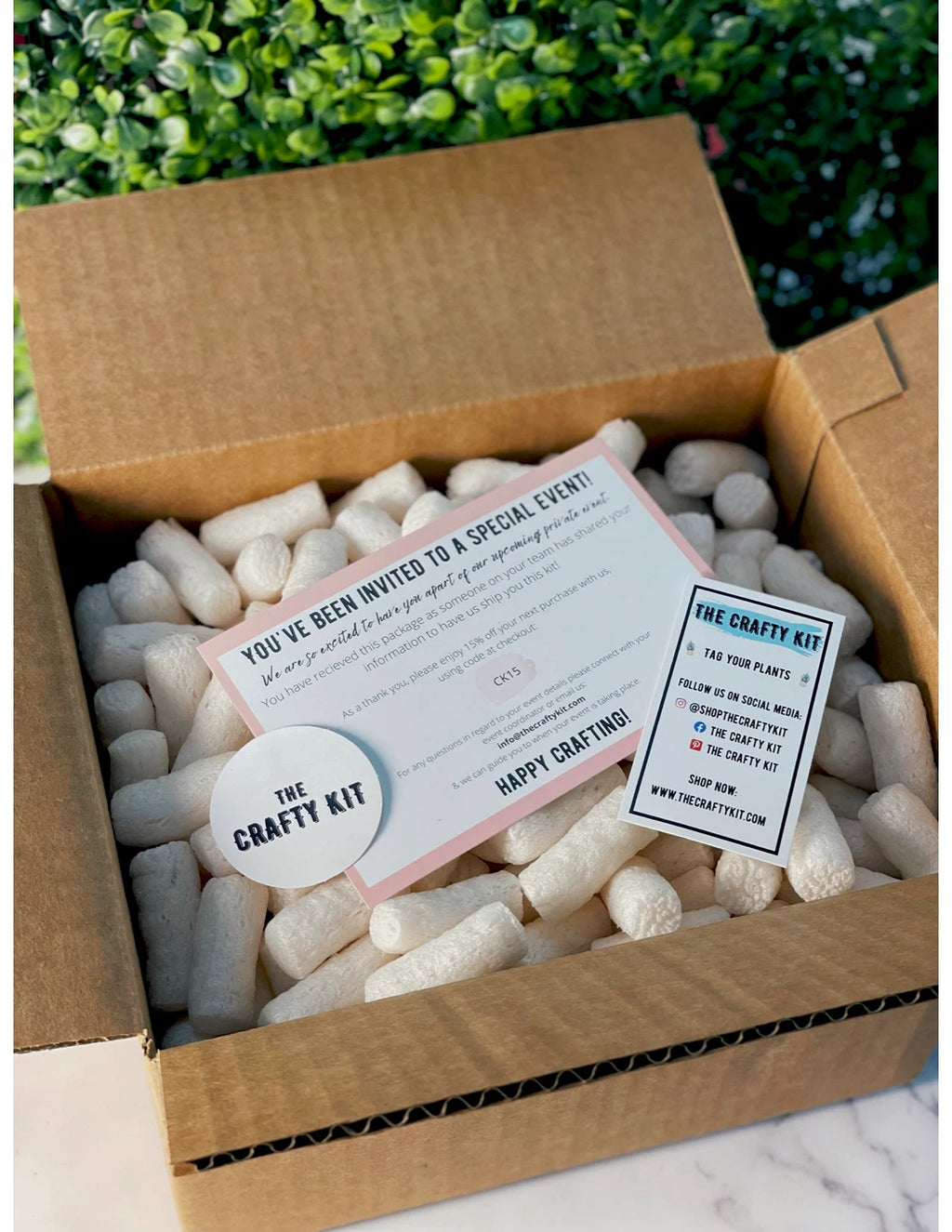 DIY Gnome Succulent Planter Kit: Terrarium Garden