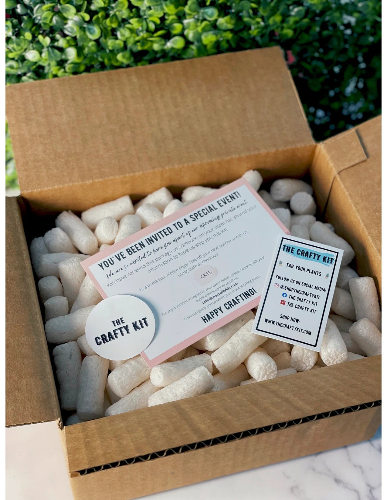 DIY Gnome Succulent Planter Kit: Terrarium Garden