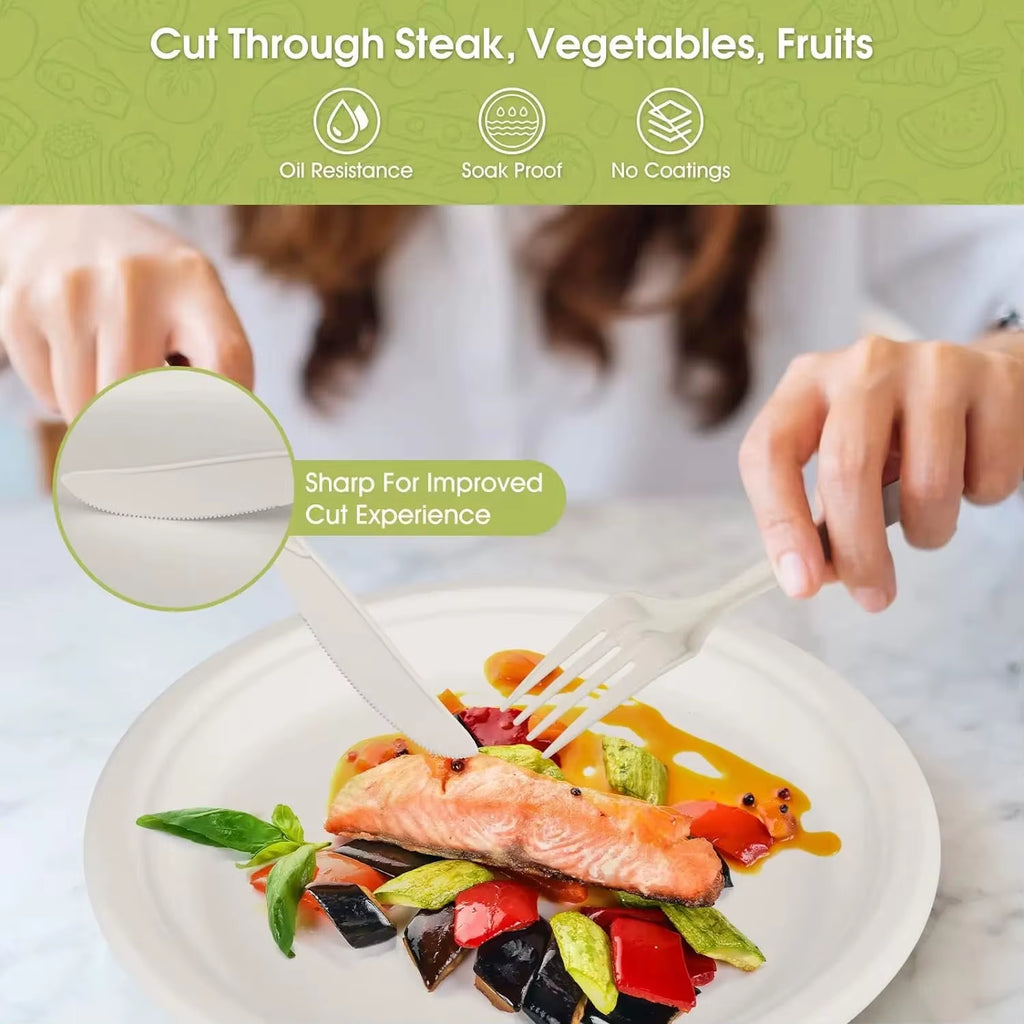 40Pcs Compostable Paper Plates with Cutlery Set,Disposable Biodegradable Utensil Eco-Friendly Dinnerware Includes Plates,Cutlery