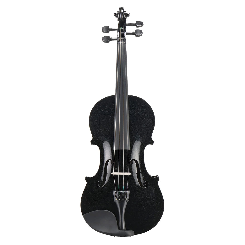 Violin Set Full Size 4/4 for Adults Beginners Students Basswood Black