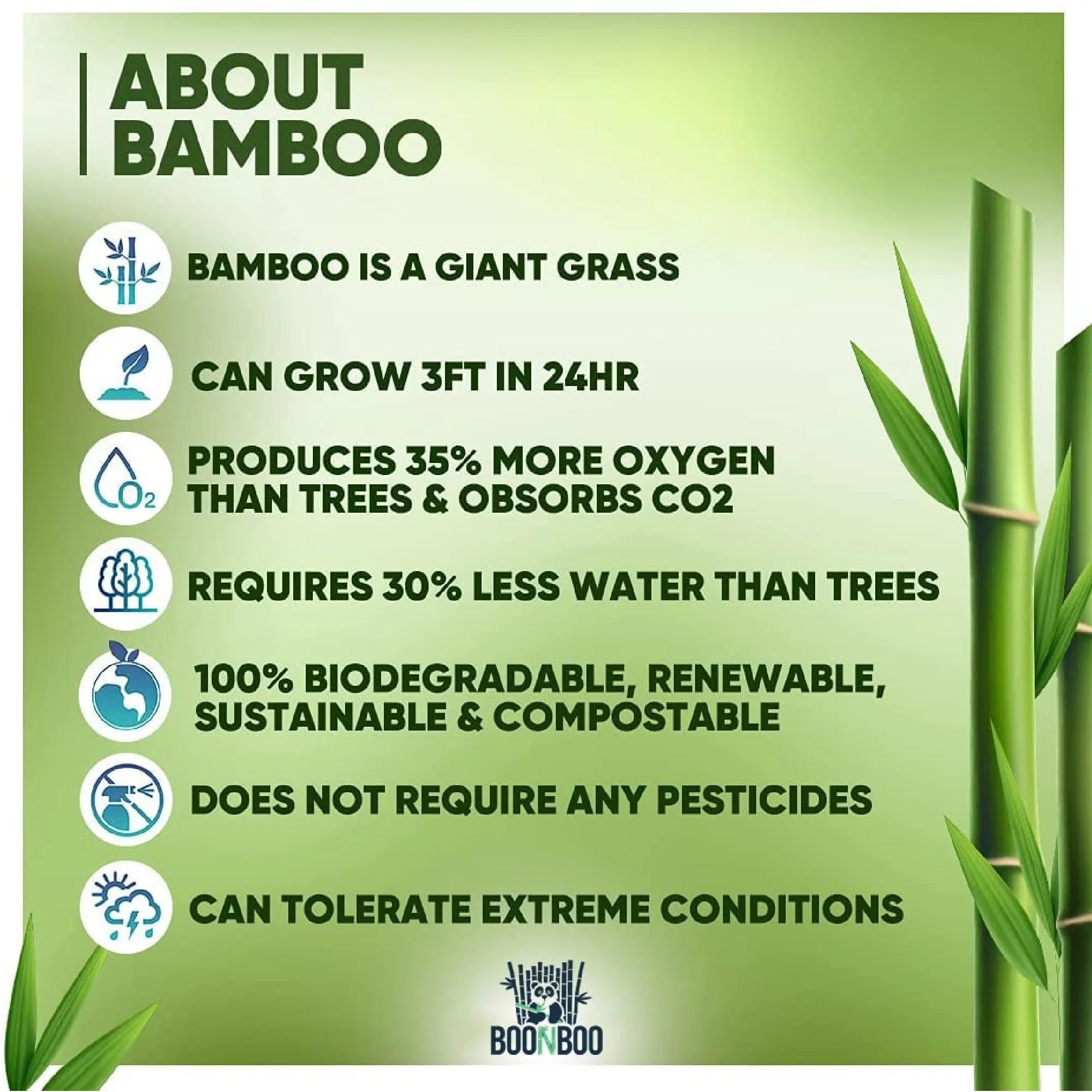 Bamboo Dental Floss Picks, 20CT