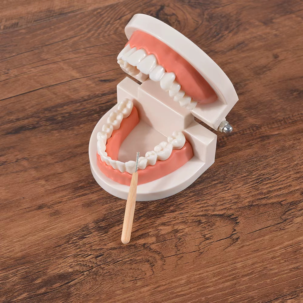 30Pcs Bamboo Interdental Brush Teeth Cleaning Tools between Teeth Cleaner Deep Clean Toothpick Biodegradable Fio Dental 0.4Mm