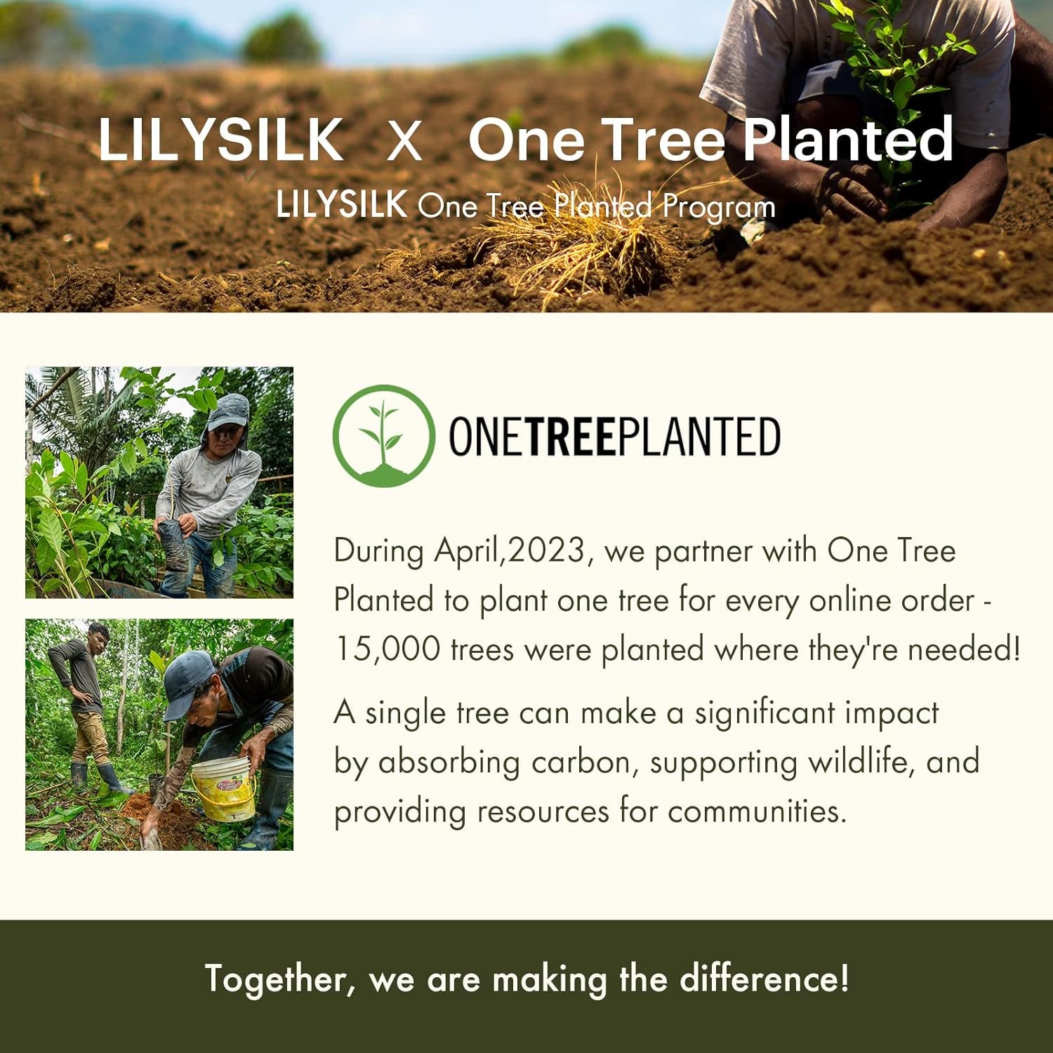 Silk Pillowcase for Hair and Skin Standard-100% Mulberry Silk 19 Momme Both Sides Silk Bed Pillow Cover with Hidden Zipper, 1 Pc (Standard Size 20''X26'', White)