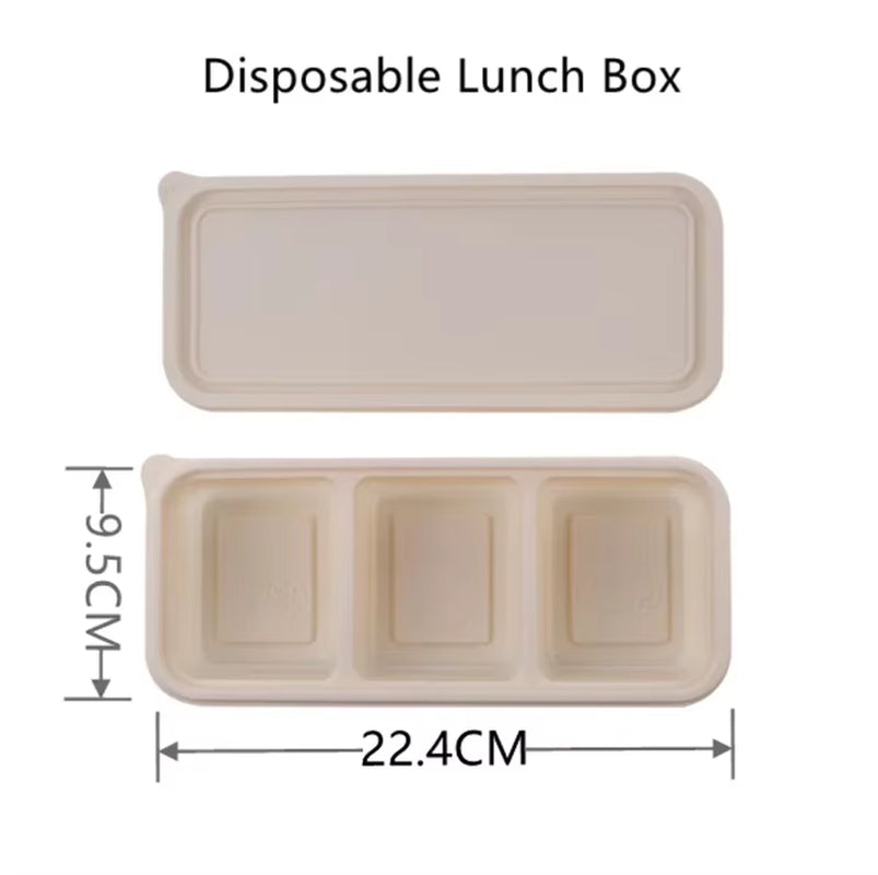 Light Food Lunch Box Biodegradable Lunchbox Microwave Disposable Food Container Vegetable Salad Takeaway Packing Box