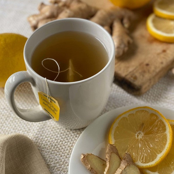 Bigelow Tea Herb Plus Probiotics Lemon Ginger (6x18 Bag )-6