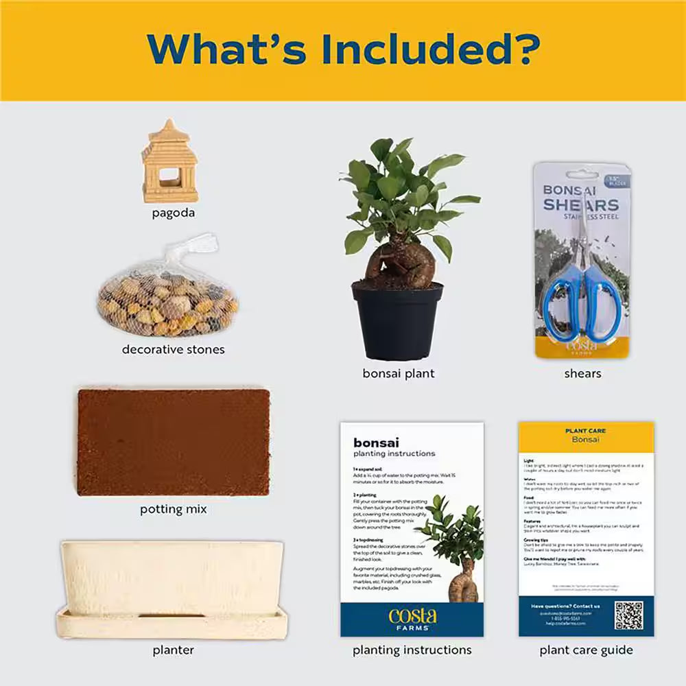 DIY Grower'S Choice Bonsai Indoor/Outdoor Plant Kit, Average Shipping Height 7 In. Tall