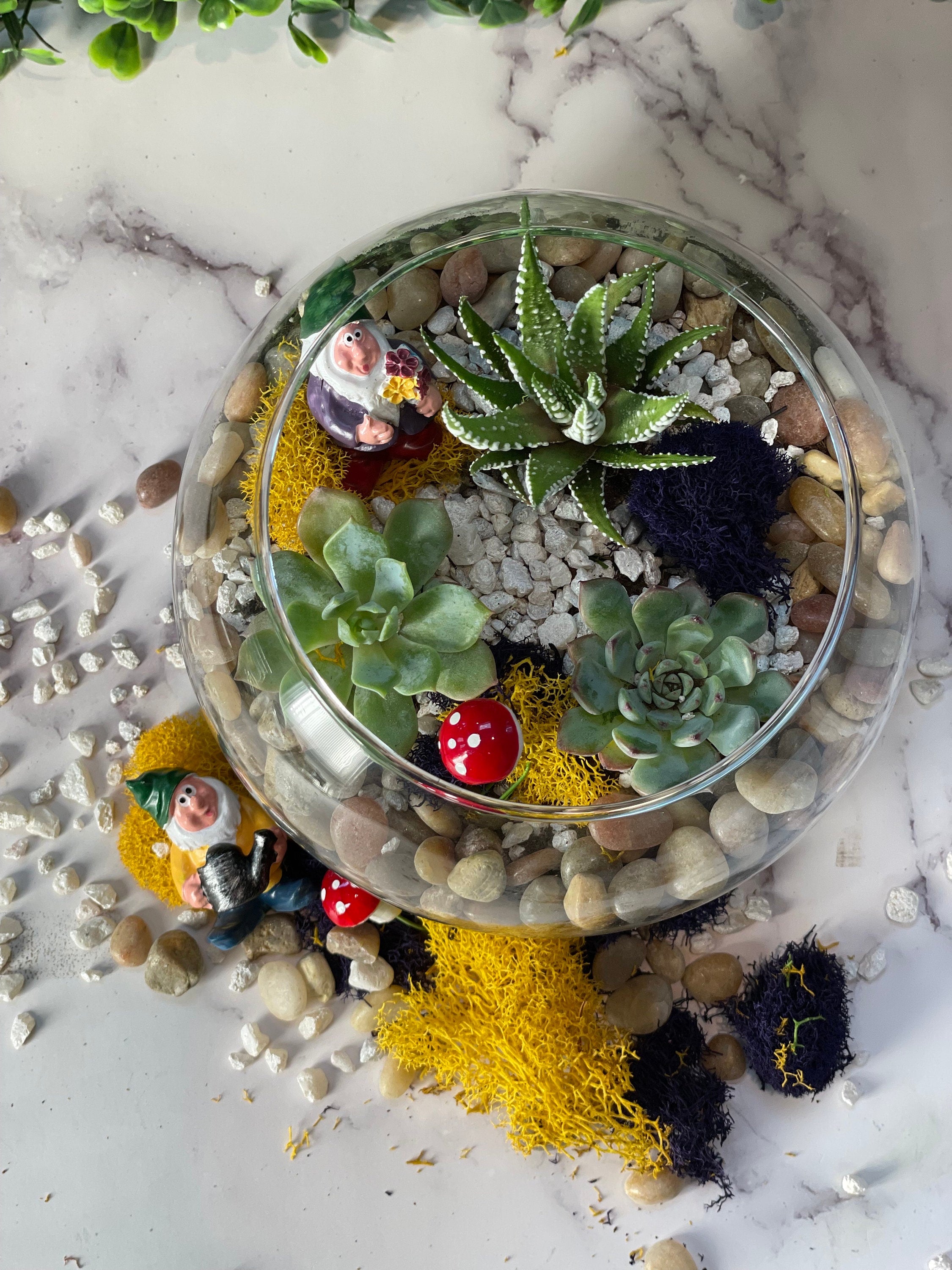 DIY Gnome Succulent Planter Kit: Terrarium Garden