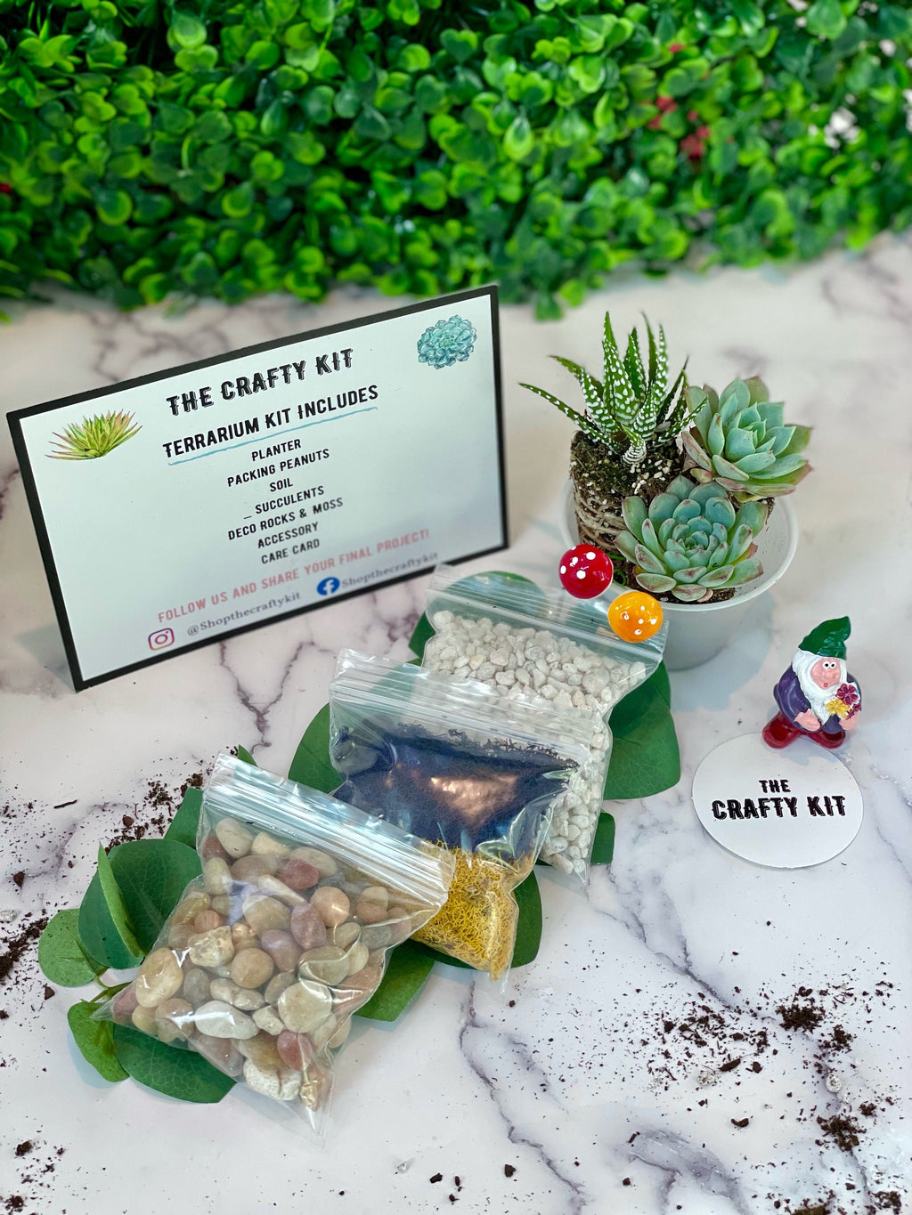 DIY Gnome Succulent Planter Kit: Terrarium Garden
