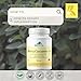 Provita - Tetra Curcumin C3 (60vcaps)