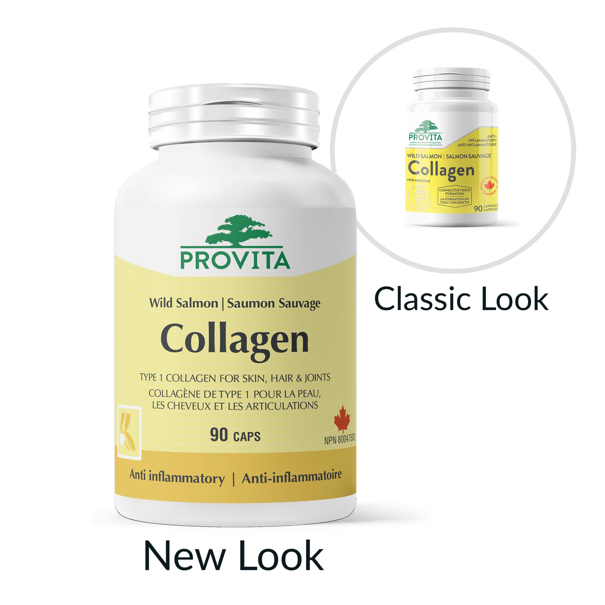 Provita - Wild Salmon Collagen (90caps)